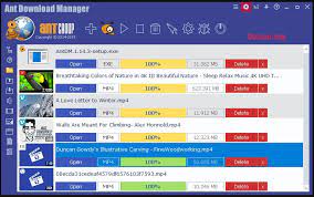 Ant Download Manager Crack