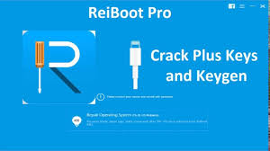 Tenorshare ReiBoot Pro 10.6.9 Crack