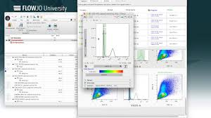Flowjo 10.8.2 Crack