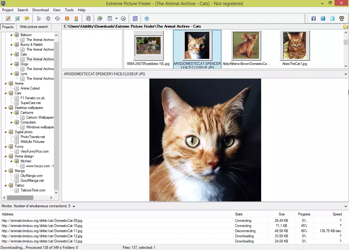 Extreme Picture Finder 3.62.3 Crack